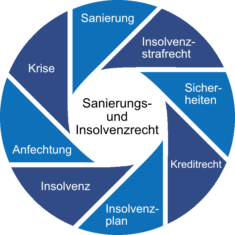 Sanierungs Insolvenzrecht Kreisgrafik